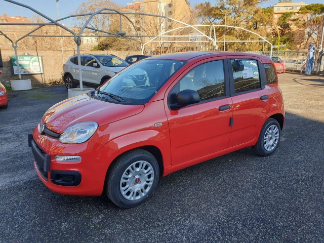 immagine non disponibile