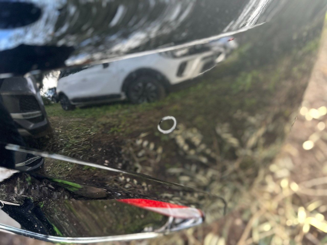 https://cdn-vs.caraffinity.it/37f9f0866b044fd39fa5e2983f5487e0.jpg