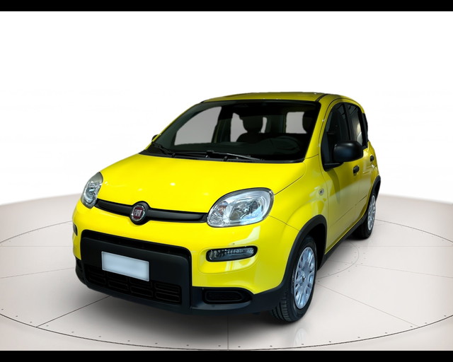 immagine non disponibile