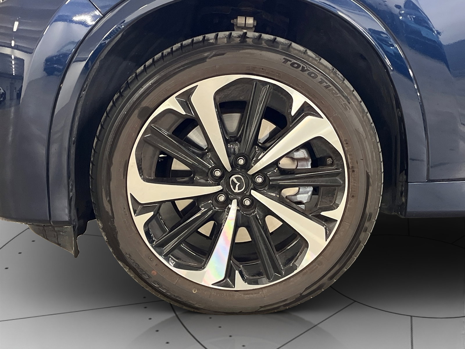 https://cdn-vs.caraffinity.it/553c9eae6ed14326b4b26cee699b925f.jpg