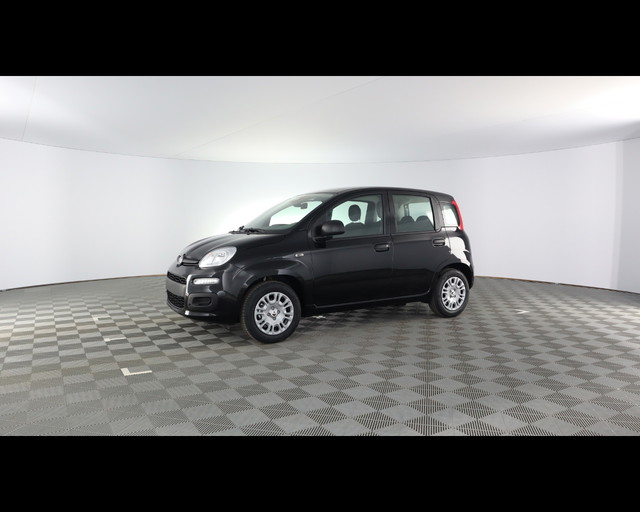 immagine non disponibile