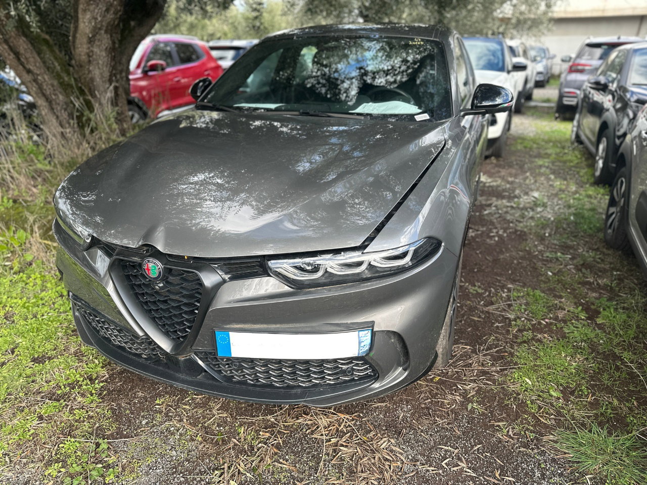 https://cdn-vs.caraffinity.it/5b66197adcfd43aa9a6e033b4f41b60e.jpg?format=jpeg