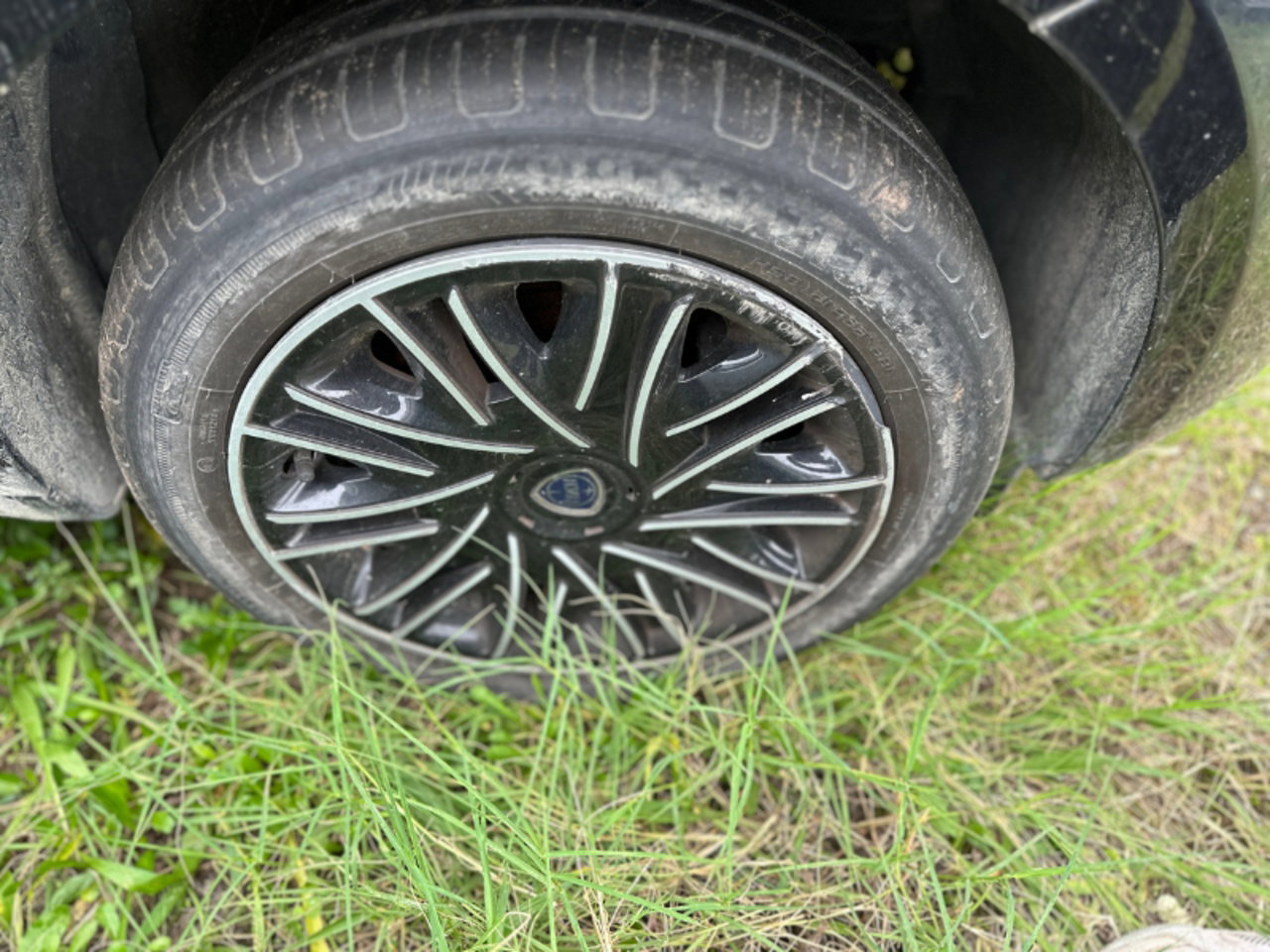 https://cdn-vs.caraffinity.it/62027d811a574c70903867dff6b827f4.jpg