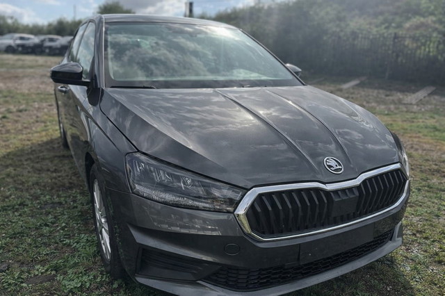 immagine non disponibile