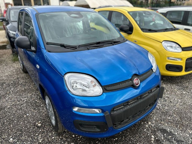 immagine non disponibile