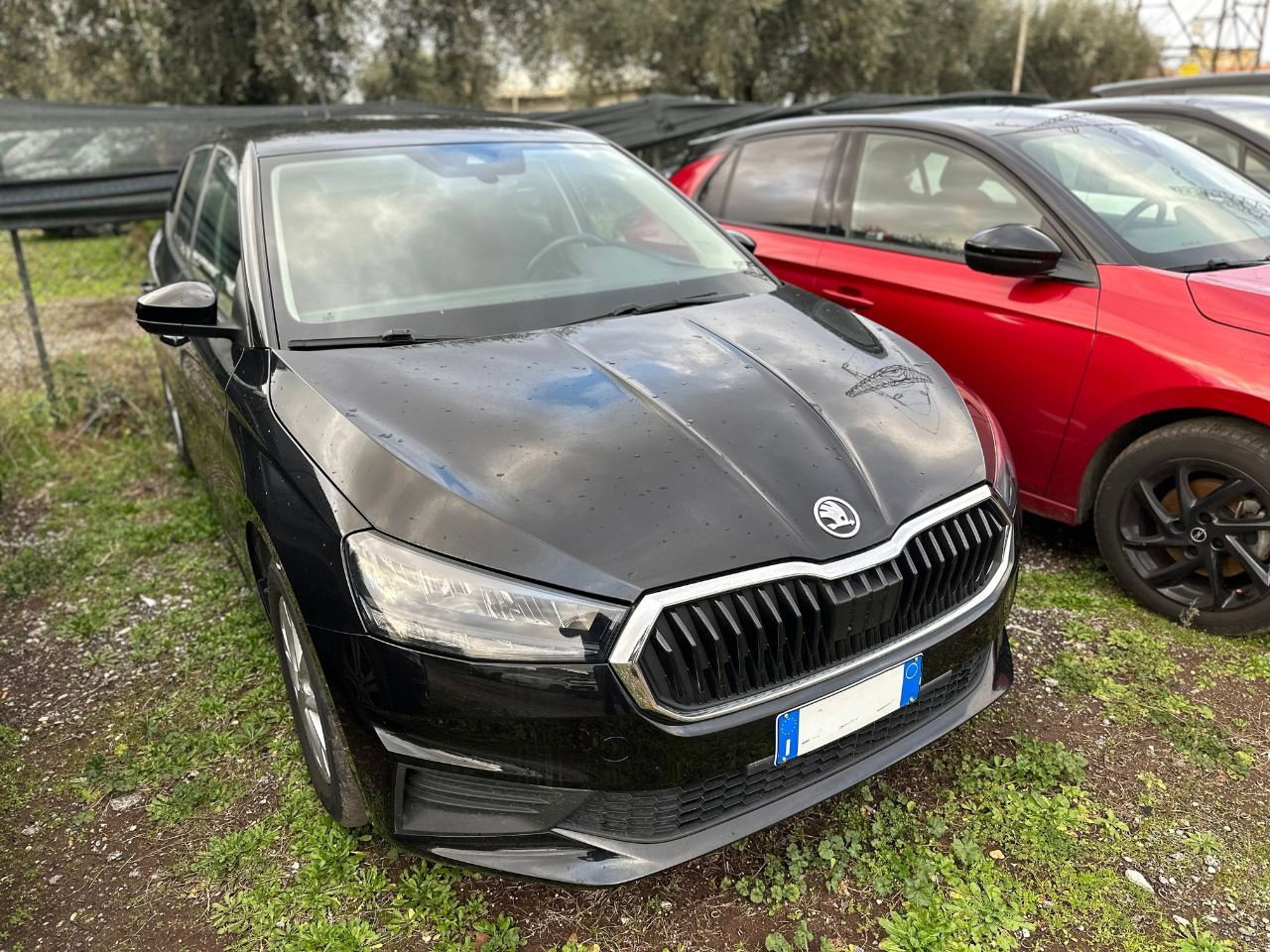 https://cdn-vs.caraffinity.it/d88cfa79d5eb4d918d5acd0dca2c48e7_orig.jpg