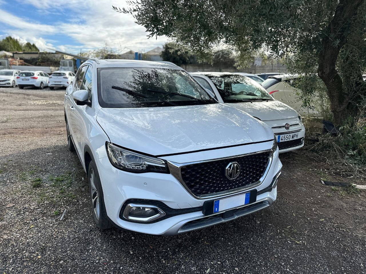 https://cdn-vs.caraffinity.it/ec8e083bae40422db52f0d8924957d02.jpg