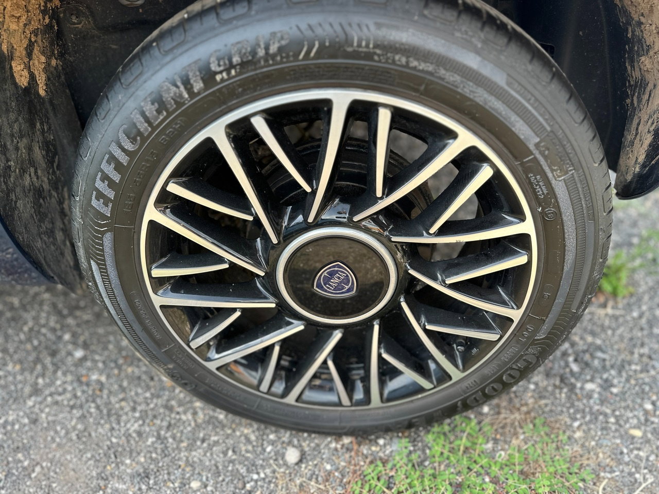 https://cdn-vs.caraffinity.it/f65b47a2fd4e4dbf9a74e0d55b84e6da.jpg