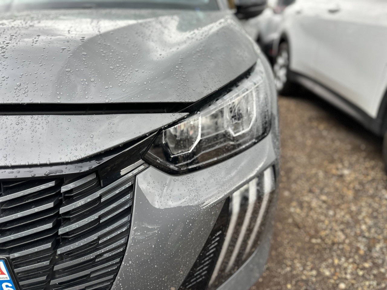https://cdn-vs.caraffinity.it/f85bb667c42d4c298b971d4389053e32.jpg